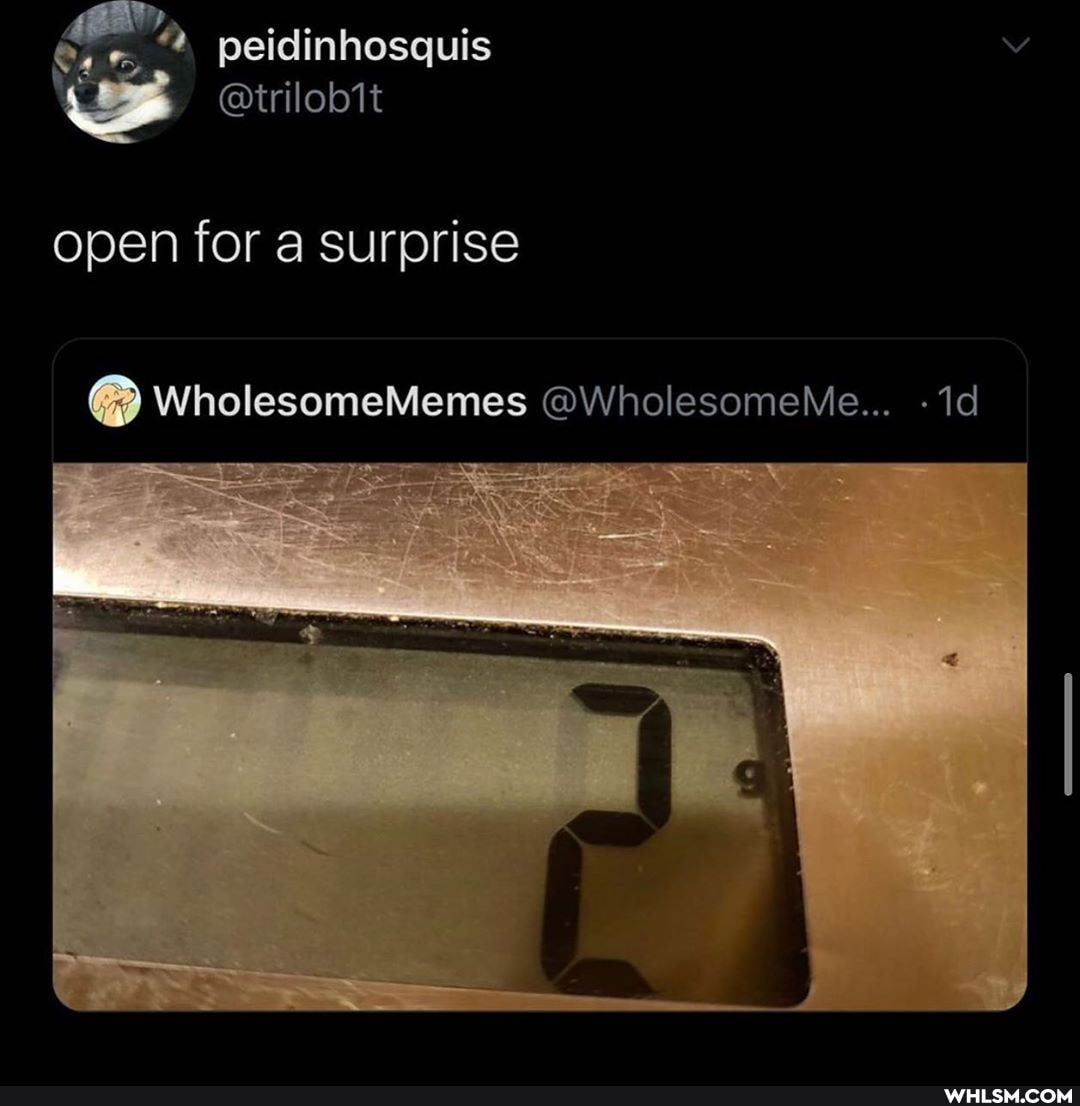 Ga peidinhosquis
@trilobit
open for a surprise
WholesomeMemes @WholesomeMe... -