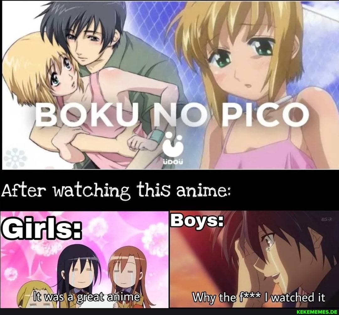 IBOKU *'9 PICO uoou After watching thiS anime: Girls: It was a sheaganime I Why 