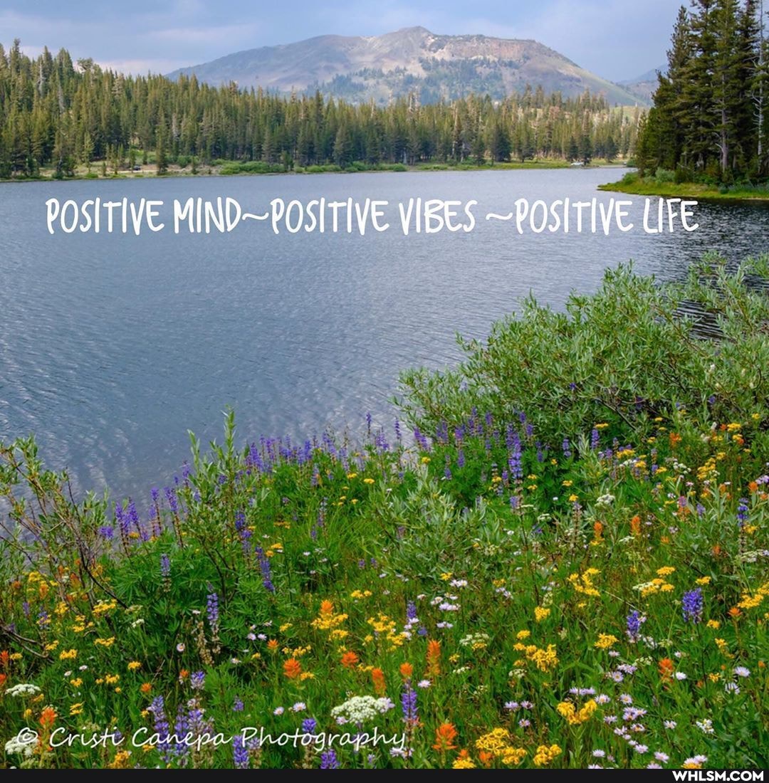 POSITIVE VIBES ~POSITIVE LIFE
am