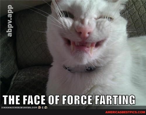 Abpv.app THE FACE OF FORCE FARTING - America’s best pics and videos