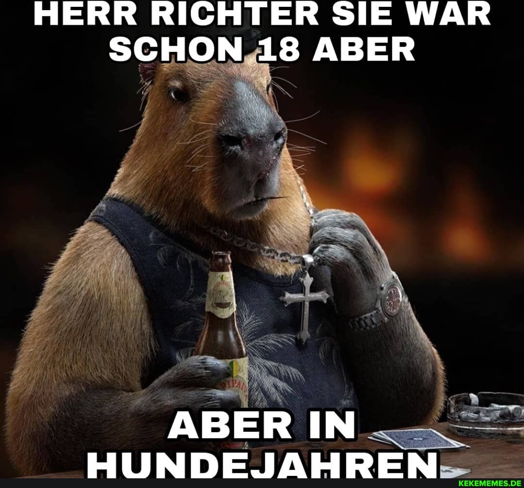 HERR RICHTER SIE WAR SCHON 18 ABER
ABER IN
LIEIRIME IALIDE RI