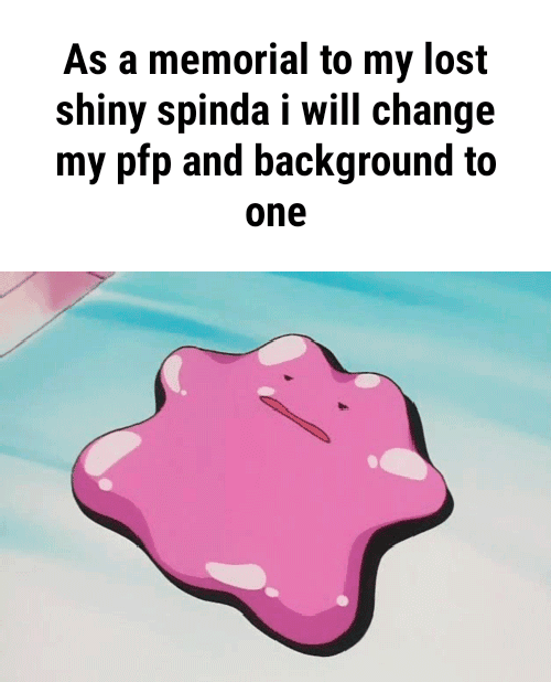 As a memorial to my lost shiny spinda i will change my pfp and ...