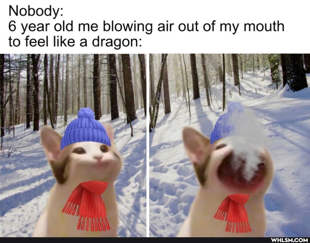 Nobody:
6 year old me blowing air out of my mouth to feel like a dragon: