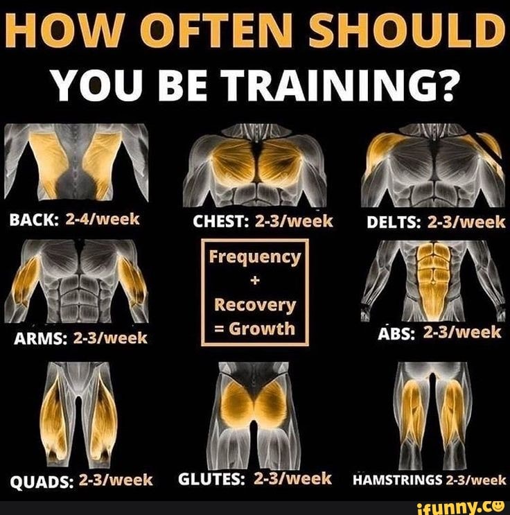 HOW OFTEN SHOULD YOU BE TRAINING? BACK CHEST DELTS 2. siweek