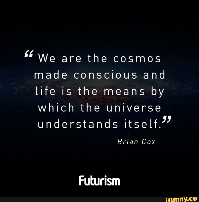 We Are The Cosmos Made Conscious And Life Is The Means By Which The Universe Understands Itself Futurism Ifunny