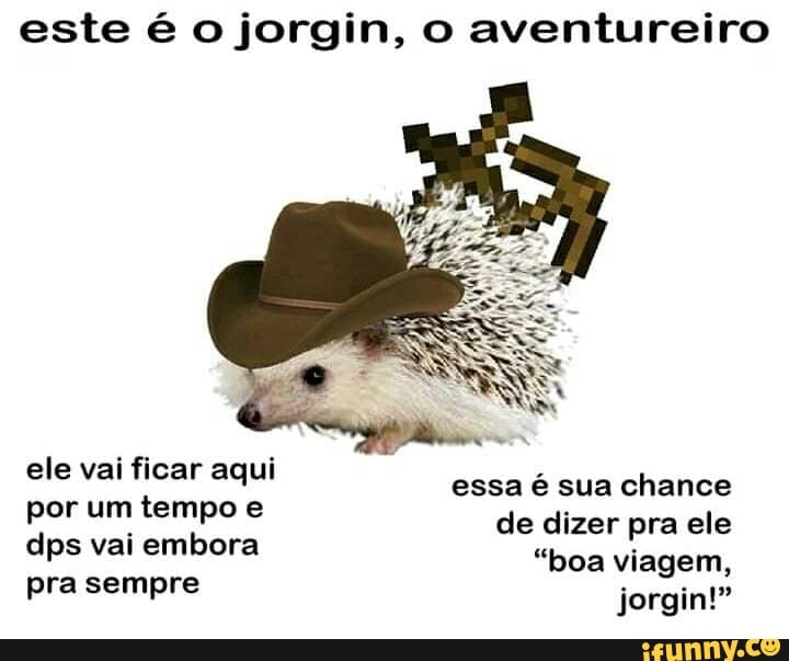 este é o jorgin, o aventureiro
ele vai ficar aqui por um tempo e
dps vai embora
pra sempre
essa é sua chance de dizer pra ele
"boa viagem, jorgin!"