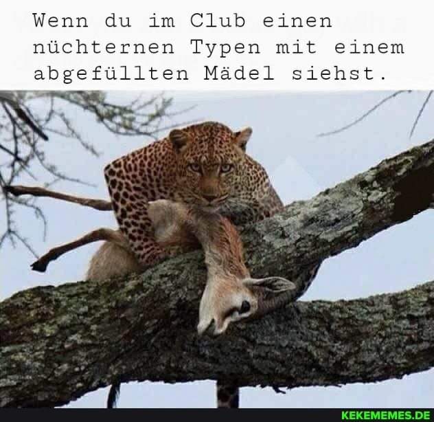 Wenn du im Club einen
nüchternen Typen mit einem abgefüllten Mädel siehst.