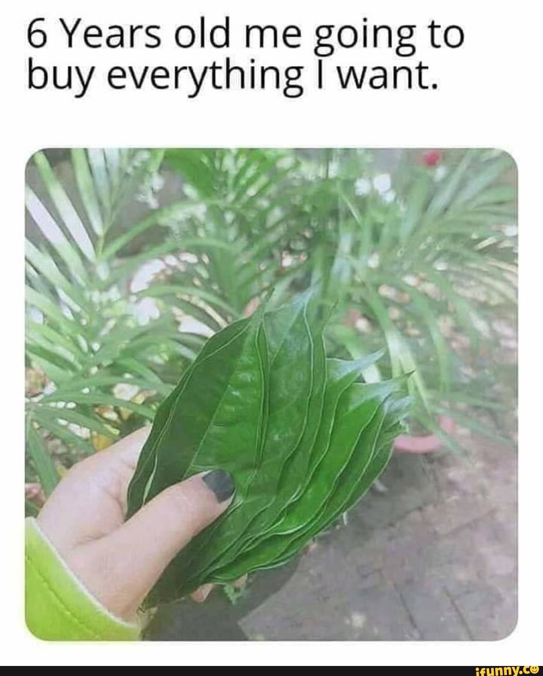 6 Years old me going to
buy everything I want.