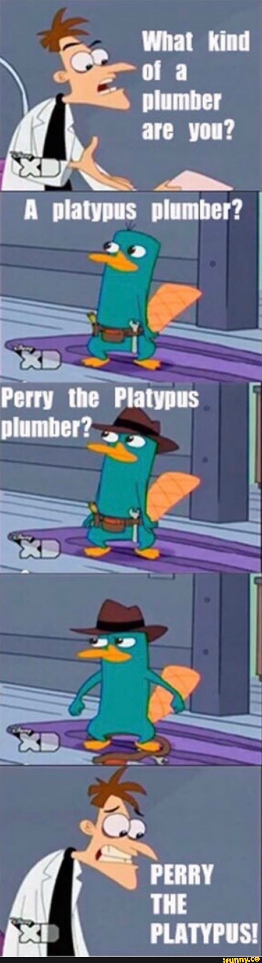 Perry the platypus plumber