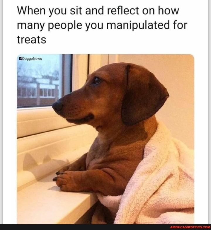 When you sit and reflect on how many people you manipulated for treats