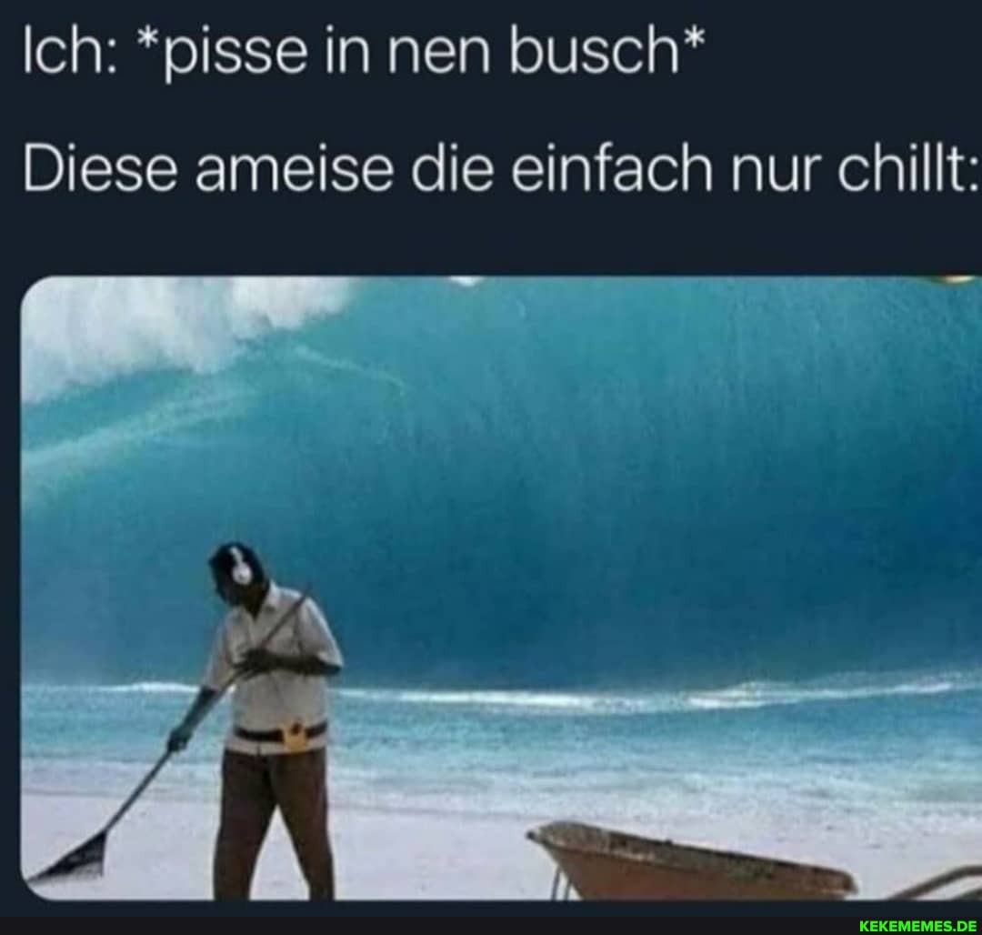 Ich: *pisse innen busch*
Diese ameise die einfach nur chillt: