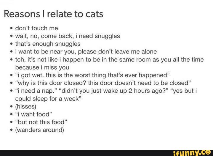 Reasons I relate to cats don‘t touch me wait, no, come back, i need