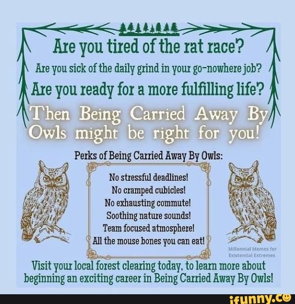 Bootssansfur memes. Best Collection of funny Bootssansfur pictures on