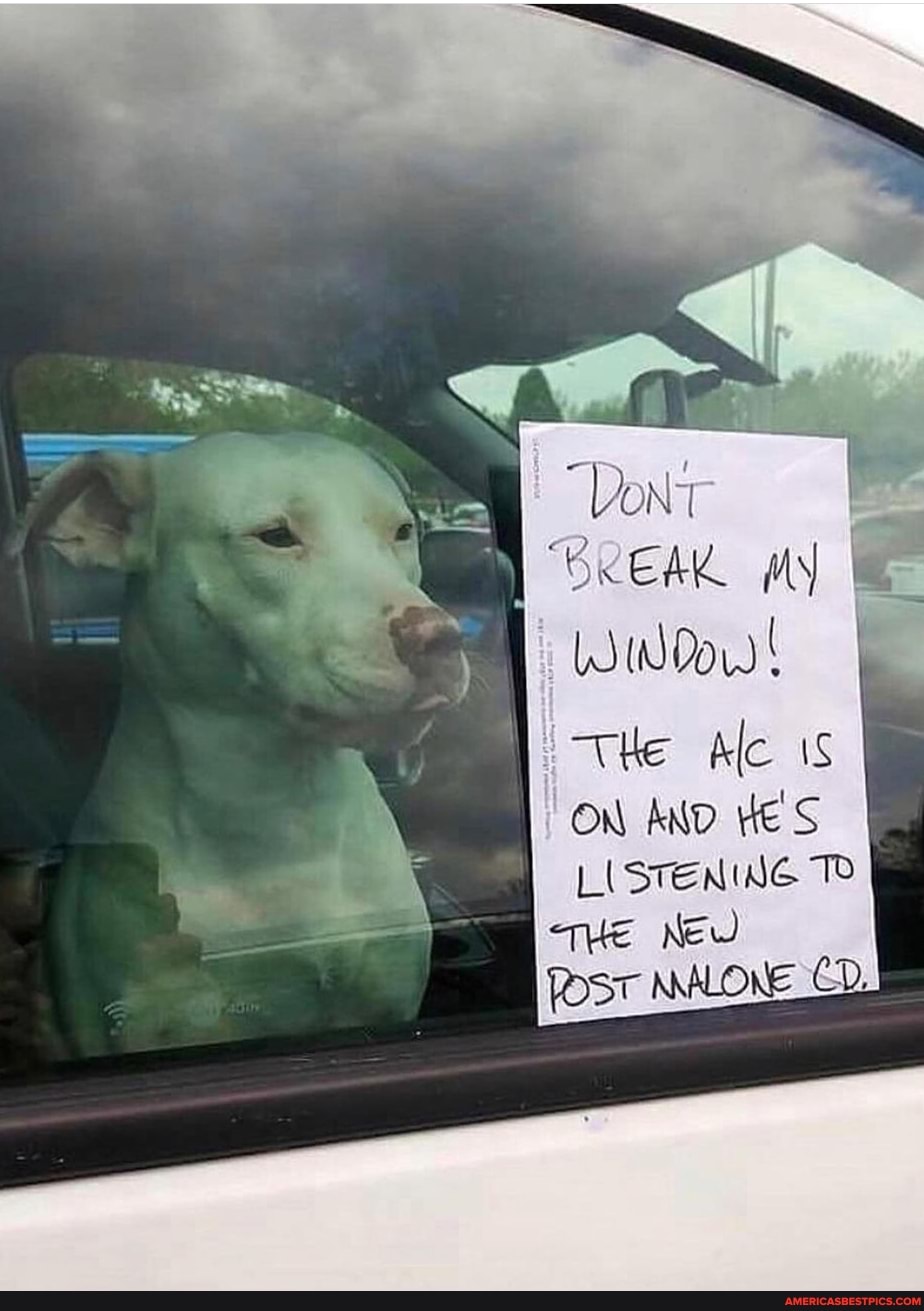 'BREAK WY
WWW!
He Ale iS ON AND HE S LISTENING TO
THE New
POST NALONE CD