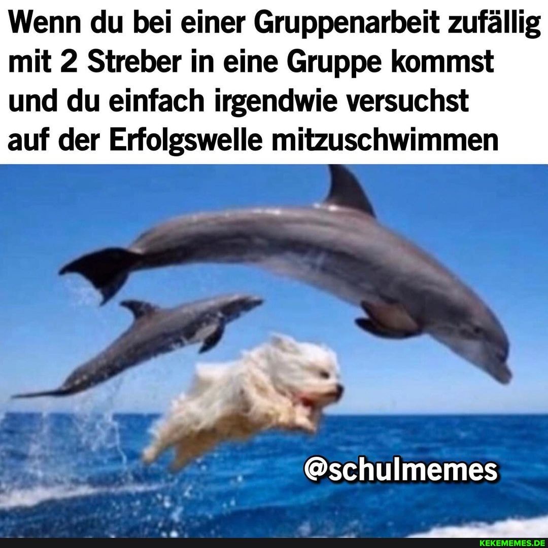 Wenn du bei einer Gruppenarbeit zufällig mit 2 Streber in eine Gruppe kommst und du einfach irgendwie versuchst
auf der Erfolgswelle mitzuschwimmen
@schulmemes