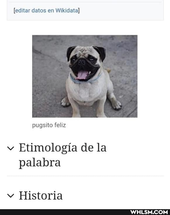Etimologia de la palabra
Historia