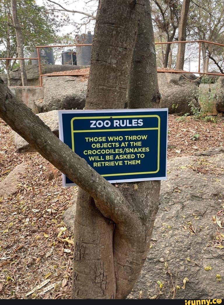 Zoo Rules. Throw object