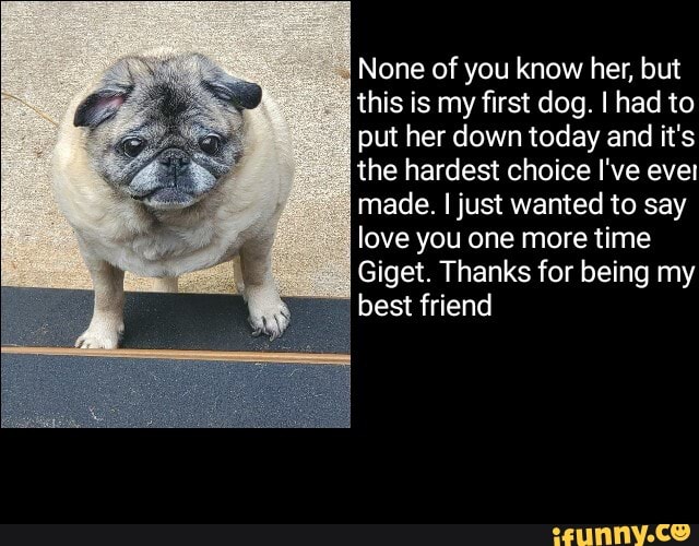 None of you know her, but this is my first dog. I had to put her down today and it's the hardest choice I've eve! made. I just wanted to say love you one more time
Giget. Thanks for being my best friend