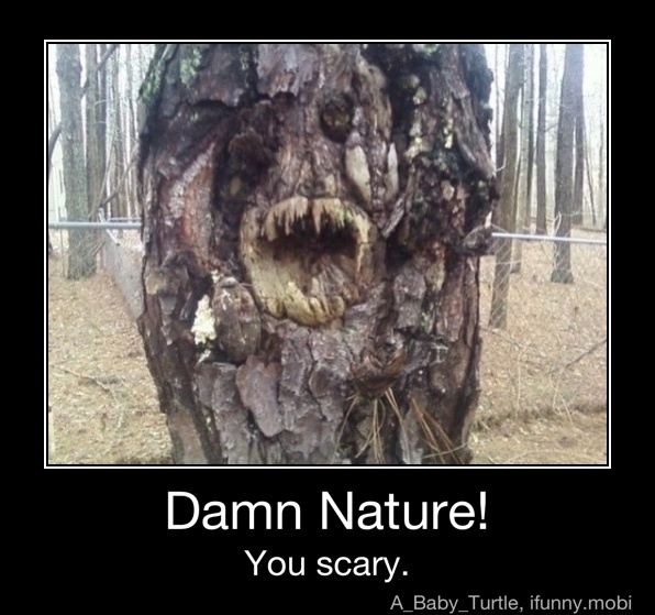 Forholdsvis etnisk Besiddelse Damn Nature! You scary. - Damn Nature! You scary. - )
