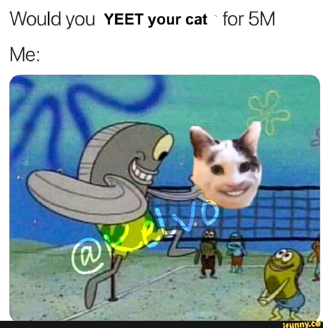 Would you YEET your cat \ for 5M Me: - iFunny