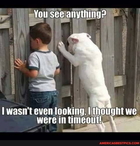 You see anyihings
wasi even looking, I we were in imeoutl,