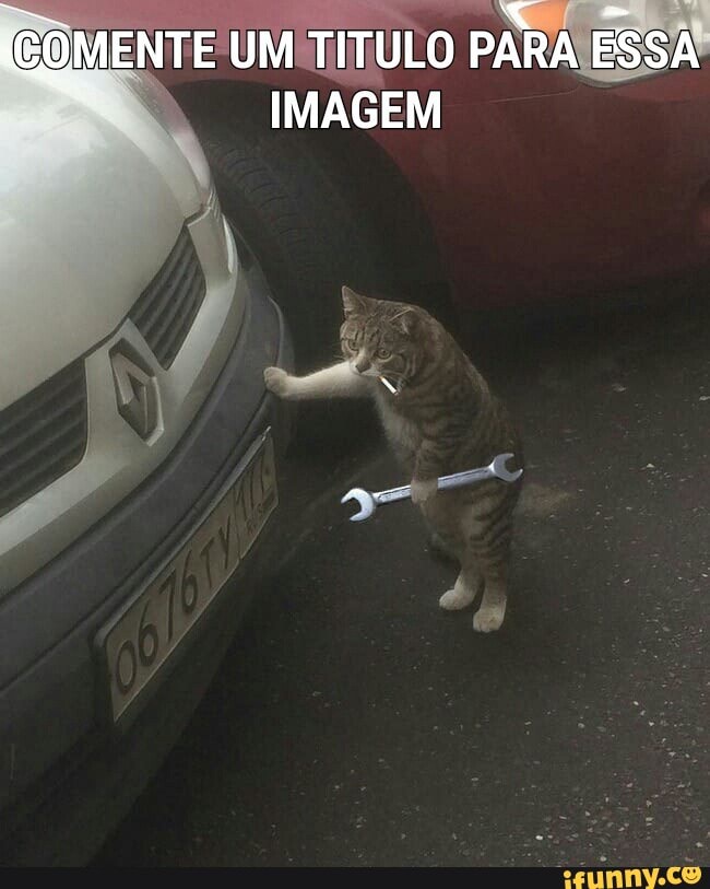 PARMESSA
IMAGEM