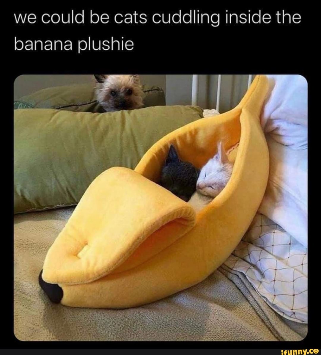 we could be cats cuddling inside the banana plushie
