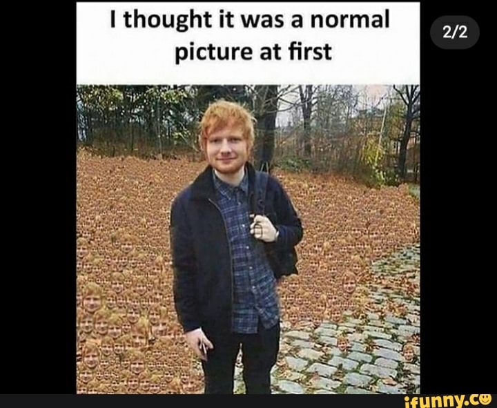 I thought it was a normal picture at first