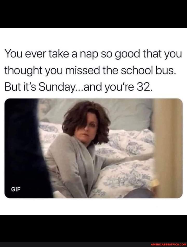 You ever take a nap so good that you thought you missed the school bus.
But it's Sunday...and you're 32.
GIF