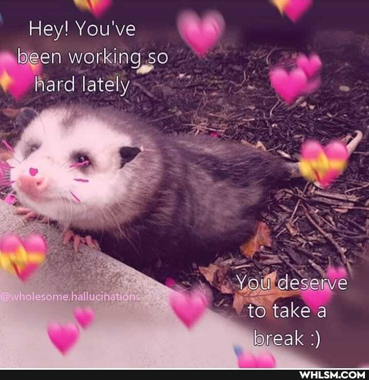 Hey! You've en working,so hard lately
me hal
take