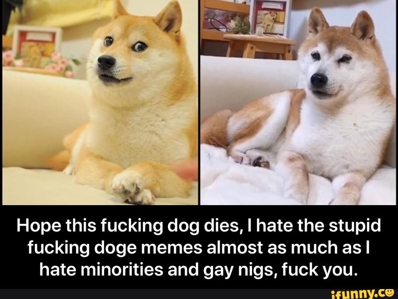 Hope This Fucking Dog Dies I Hate The Stupid Fucking Doge Memes