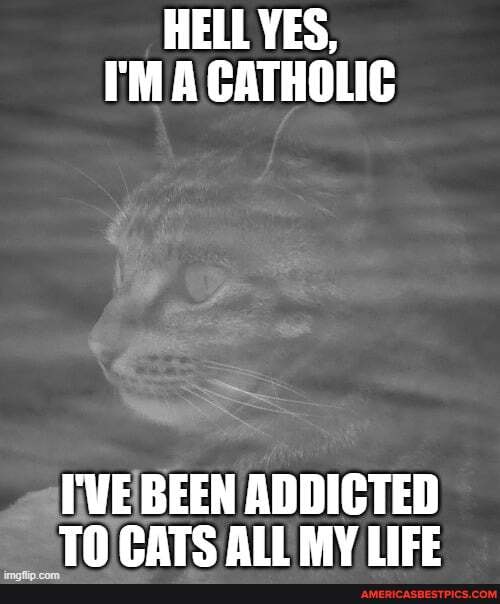 HELL YES,
I'M A CATHOLIC
I'VE BEEN ADDICTED TO CATS ALL MY LIFE
