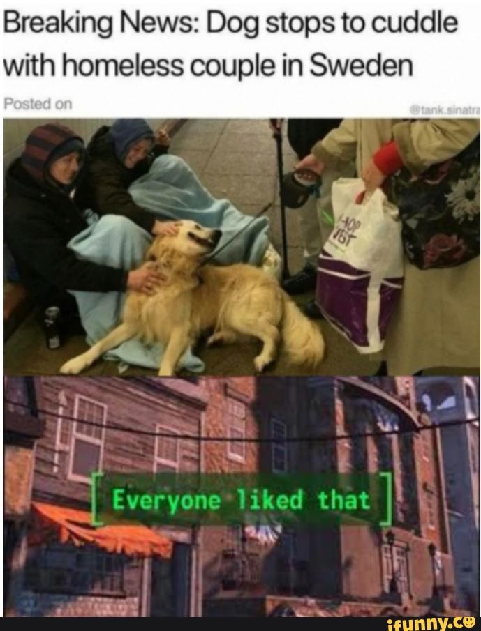 Breaking News: Dog stops to cuddle
with homeless couple in Sweden