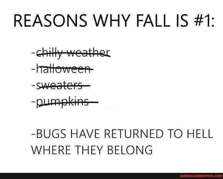 REASONS WHY FALL IS #1: weather
-hatteweer-
-Sweaters-
-pumpkins-
-BUGS HAVE RETURNED TO HELL WHERE THEY BELONG