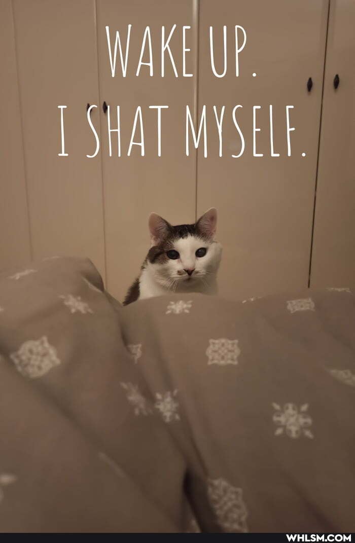 WAKE UP.
LSAT MYSELE