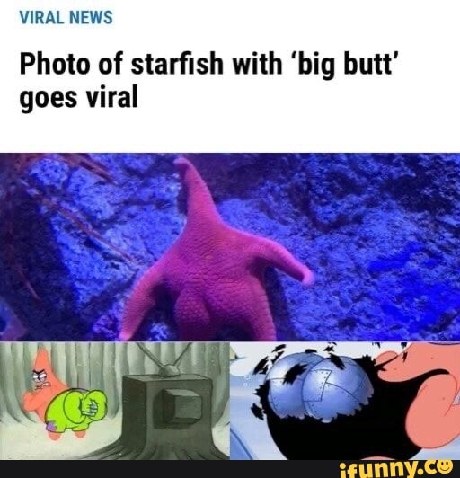 Viral News Photo Of Starfish With Big Butt Goes Viral Ifunny