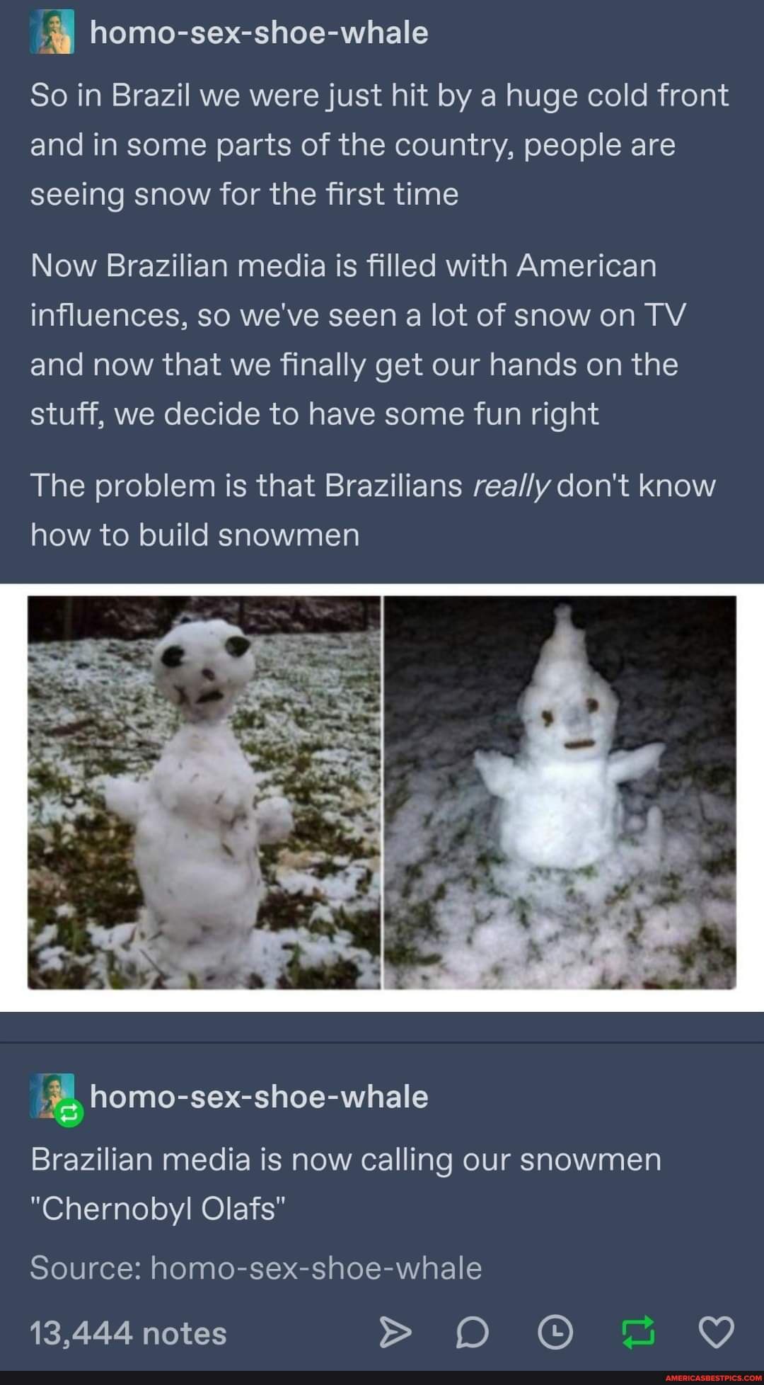 homo-sex-shoe-whale
So in Brazil we were just hit by a huge cold front and in some parts of the country, people are seeing snow for the first time
Now Brazilian media is filled with American influences, so we've seen a lot of snow on TV and now that we finally get our hands on the stuff, we decide to have some fun right
The problem is that Brazilians don't know
how to build snowmen
Brazilian media is now calling our snowmen
"Chernobyl Olafs"
Source: homo-sex-shoe-whale
13,444 notes > OD