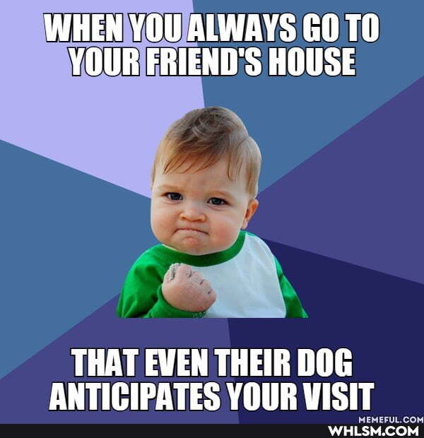 WHEN YOU ALWAYS GO TO YOUR FRIEND'S HOUSE
THAT EVEN THEIR DOG ANTICIPATES YOUR VISIT