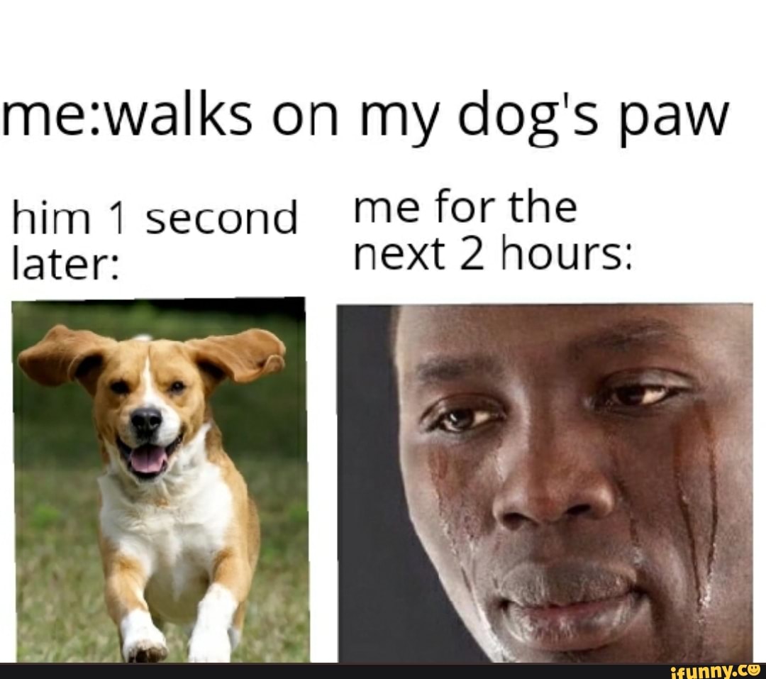 on my dog's paw
him second me for the later: next 2 hours: