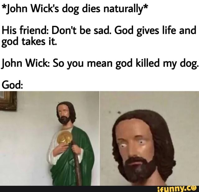 what did they do to john wicks dog