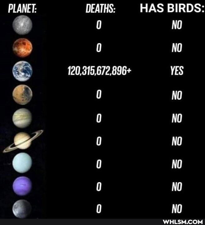 PLANET:
DEATHS:
0
0
120,315,672,896+
0
HAS BIRDS:
NO
NO YES NO NO NO NO NO
