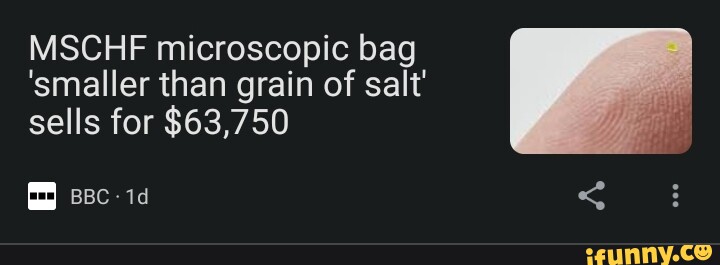 MSCHF microscopic bag 'smaller than grain of salt' sells for $63,750 - BBC  News