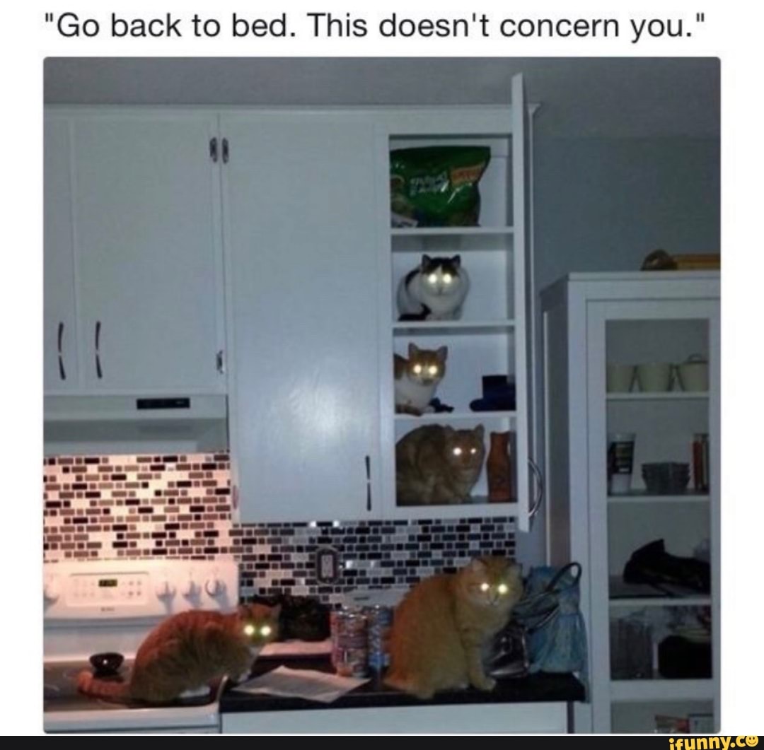 "Go back to bed. This doesn't concern you."
