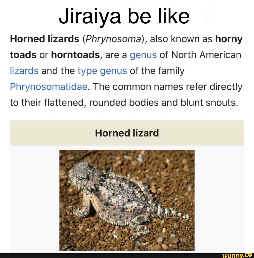 Jiratya Like Horned Lizards (Phrynosoma), Also Known As Horny Toads Or ...