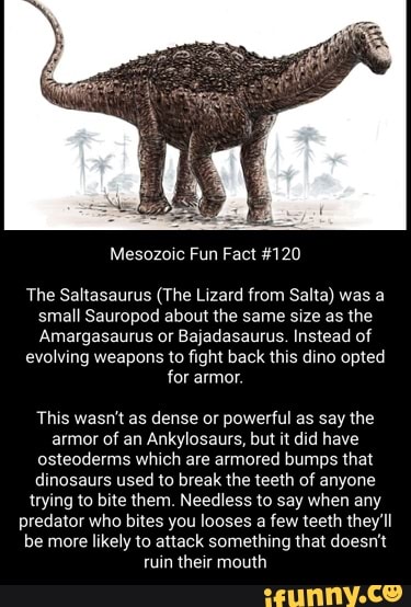 Mesozoic Fun Fact #120 The Saltasaurus (The Lizard from Salta) was a ...