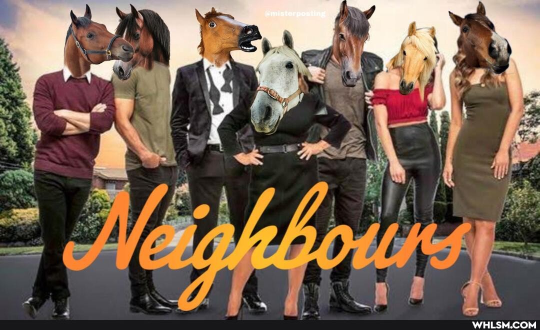 funny, wtf, neighbours