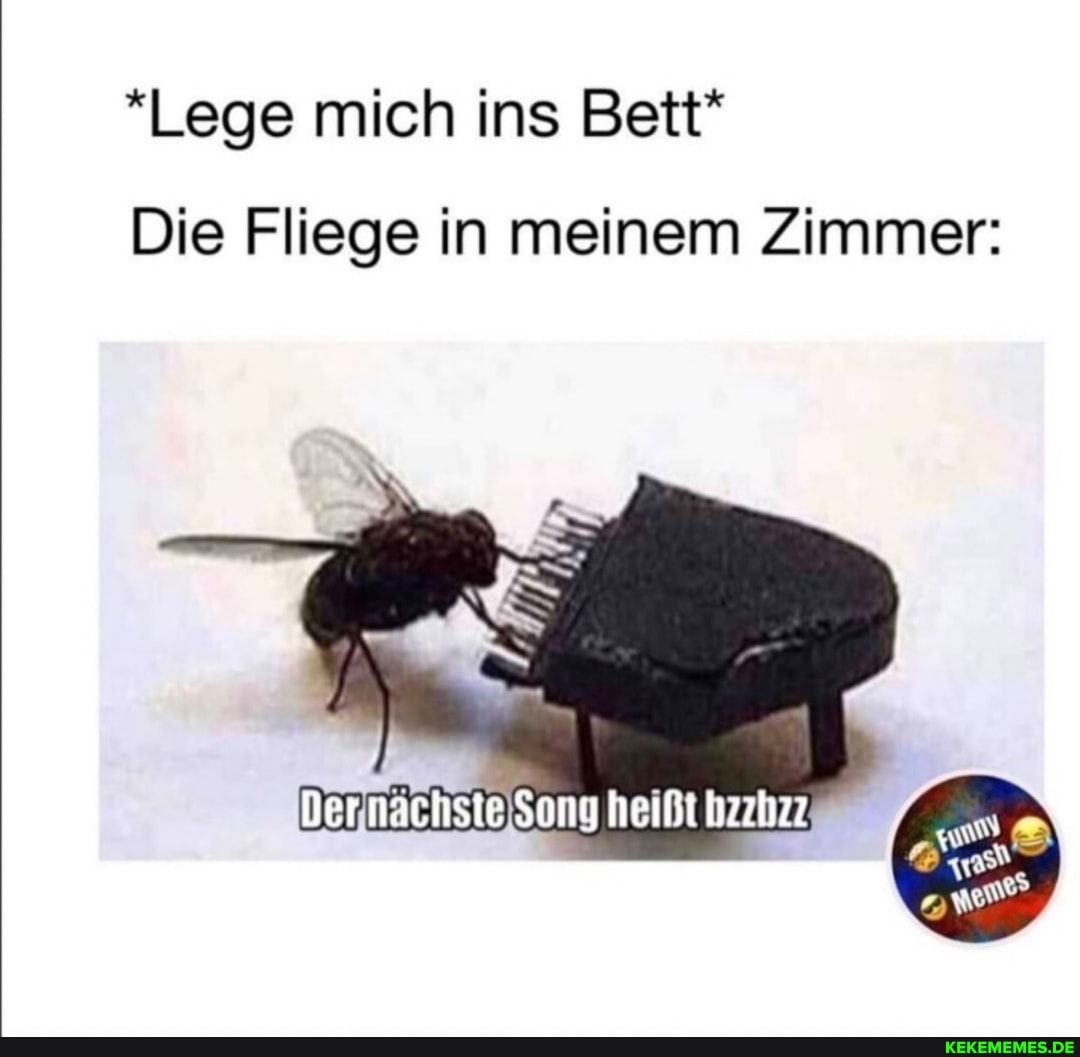 *Lege mich ins Bett*
Die Fliege in meinem Zimmer:
heißt hzzbzz