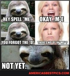 wey ME LOKAY YOU FORGOT THE [
NOT YET.