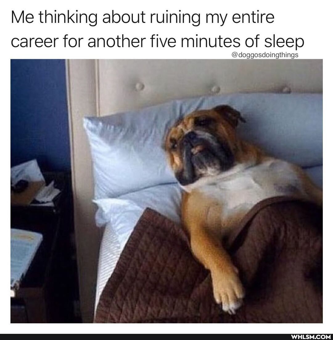 Me thinking about ruining my entire career for another five minutes of sleep