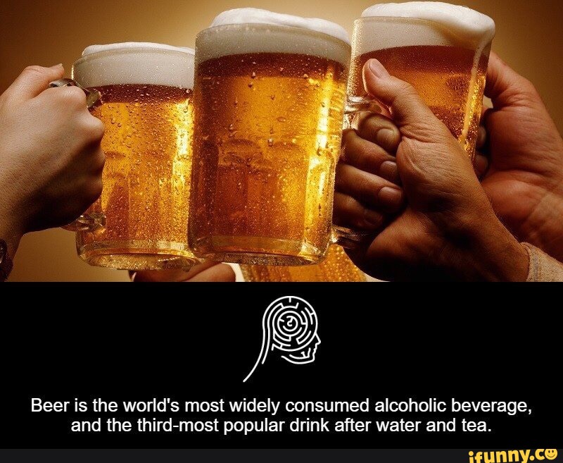 Beer is the woﬂd's most widely consumed alcoholic beverage, and the th...